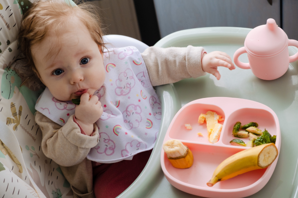 O bebê pode tomar água durante as refeições